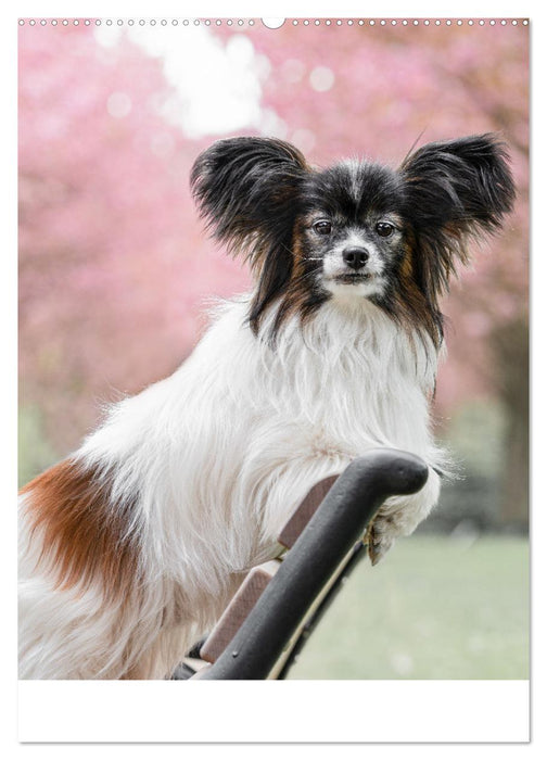 Flora Canidae - der Hunde-Blühpflanzen-Kalender (CALVENDO Wandkalender 2025)