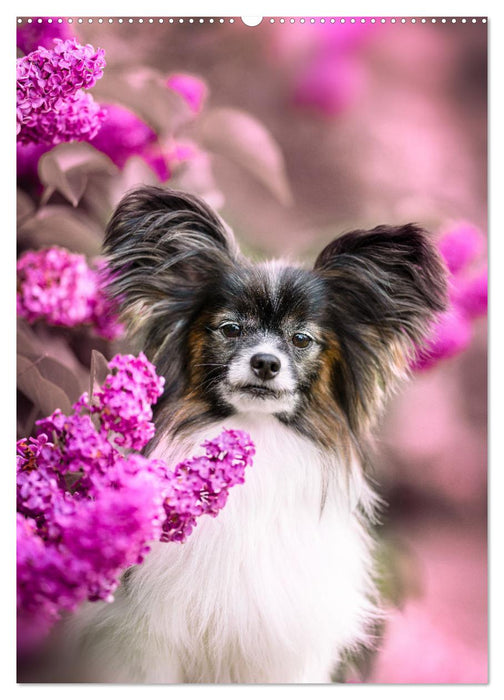 Flora Canidae - der Hunde-Blühpflanzen-Kalender (CALVENDO Wandkalender 2025)