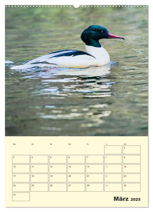 Vogelwelt an der Sieg (CALVENDO Wandkalender 2025)