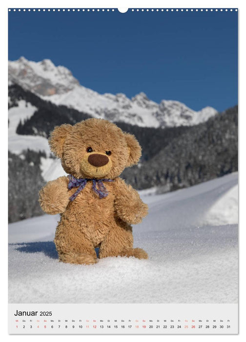 Travelling Teddy auf Welt-Tour (CALVENDO Premium Wandkalender 2025)