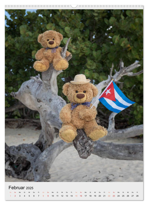 Travelling Teddy auf Welt-Tour (CALVENDO Premium Wandkalender 2025)