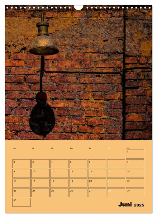 R O S T - geliebt oder gehasst (CALVENDO Wandkalender 2025)