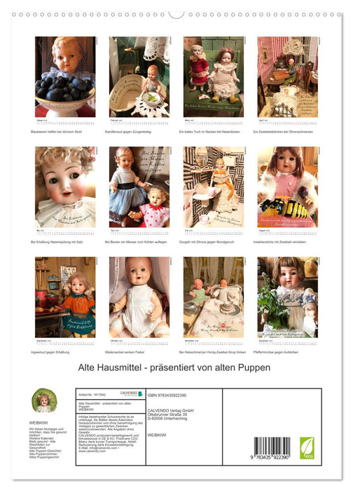 Alte Hausmittel - präsentiert von alten Puppen (CALVENDO Premium Wandkalender 2025)