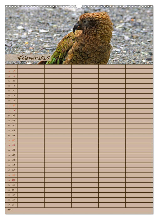 Tierischer Familienplaner (CALVENDO Premium Wandkalender 2025)