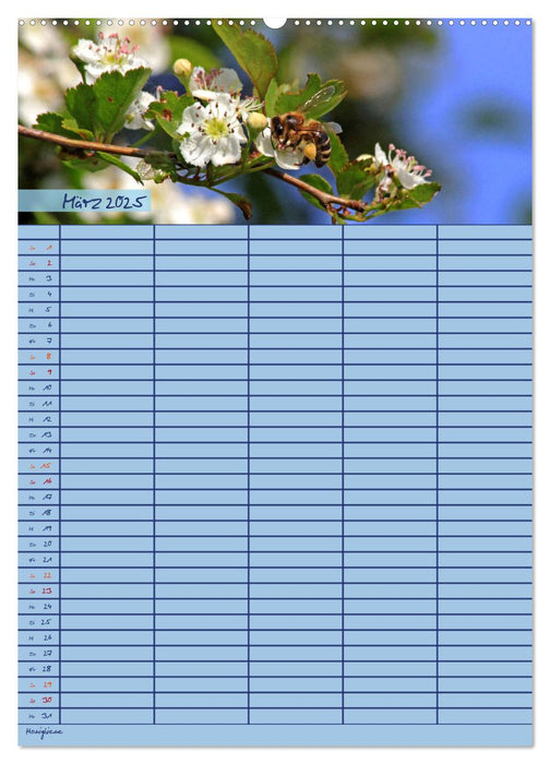 Tierischer Familienplaner (CALVENDO Premium Wandkalender 2025)