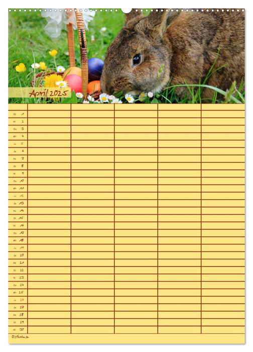Tierischer Familienplaner (CALVENDO Premium Wandkalender 2025)