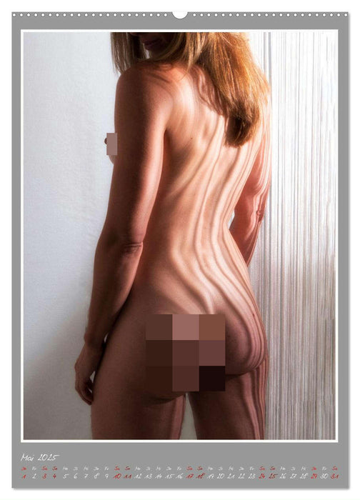 Ästhetische EROTIC Photographie (CALVENDO Wandkalender 2025)