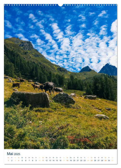 Sommer in Österreich - sonnige Tage in den Bergen (CALVENDO Wandkalender 2025)