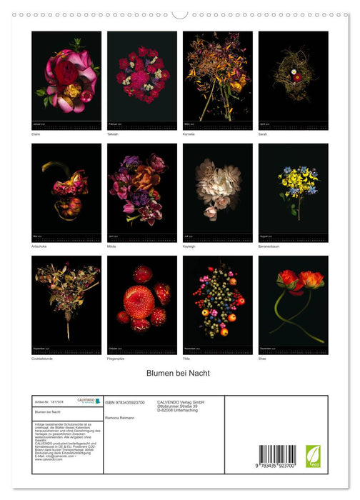 Blumen bei Nacht (CALVENDO Premium Wandkalender 2025)