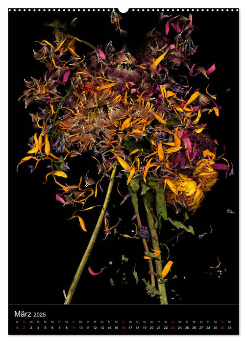Blumen bei Nacht (CALVENDO Premium Wandkalender 2025)
