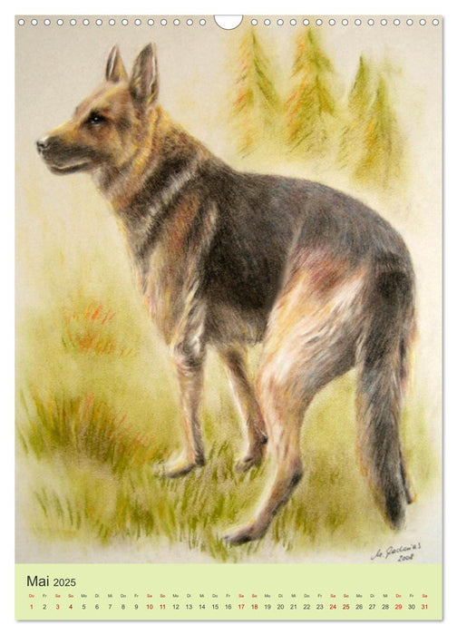 Hunde und Katzen - Handgemalte Tierportraits (CALVENDO Wandkalender 2025)