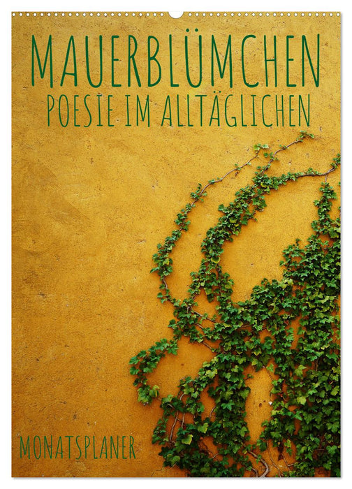 Mauerblümchen - Poesie im Alltäglichen als Monatsplaner (CALVENDO Wandkalender 2025)