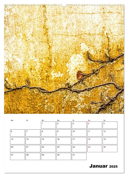 Mauerblümchen - Poesie im Alltäglichen als Monatsplaner (CALVENDO Wandkalender 2025)