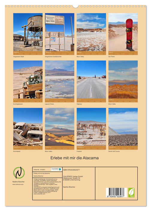 Erlebe mit mir die Atacama (CALVENDO Premium Wandkalender 2025)