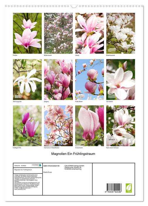 Magnolien Ein Frühlingstraum (CALVENDO Wandkalender 2025)