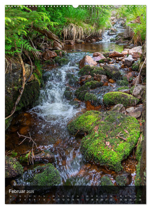 Bewegtes Wasser (CALVENDO Wandkalender 2025)