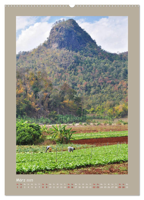 Erlebe mit mir das ursprüngliche Thailand (CALVENDO Premium Wandkalender 2025)