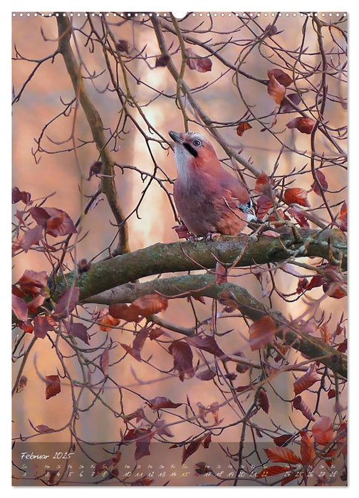 Moment Zauber (CALVENDO Wandkalender 2025)