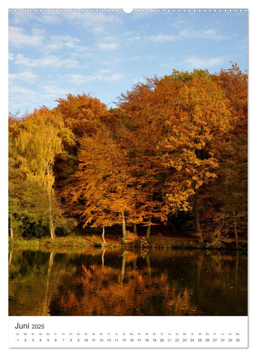 Faszination der Farben im Naturpark Lappwald (CALVENDO Wandkalender 2025)