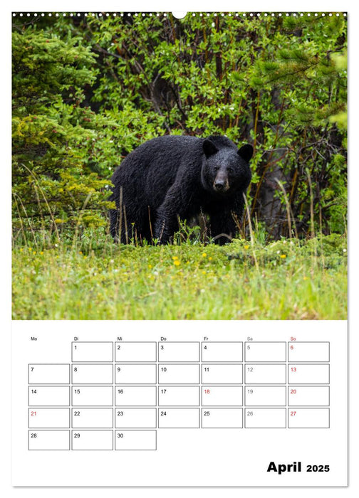 Mein Schönes Kanada (CALVENDO Wandkalender 2025)