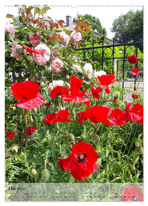 Ferien im Garten (CALVENDO Premium Wandkalender 2025)