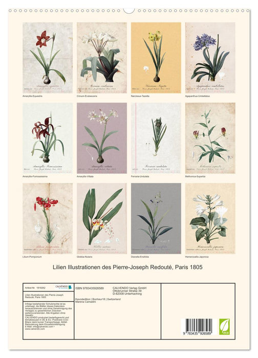 Lilien Illustrationen des Pierre-Joseph Redouté, Paris 1805 (CALVENDO Premium Wandkalender 2025)