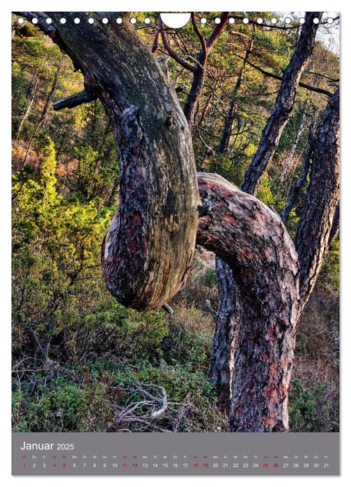 Schweden - Wandern in Västergötland (CALVENDO Wandkalender 2025)