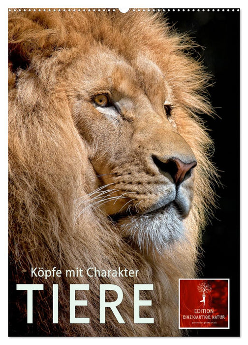 Tiere - Köpfe mit Charakter (CALVENDO Wandkalender 2025)