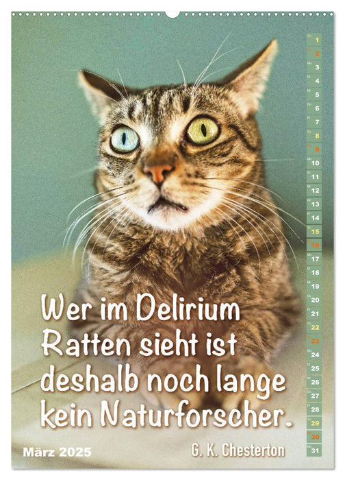 Der literarische Katerkalender (CALVENDO Wandkalender 2025)