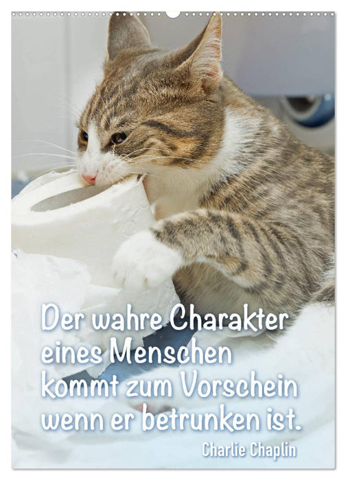 Der literarische Katerkalender (CALVENDO Wandkalender 2025)