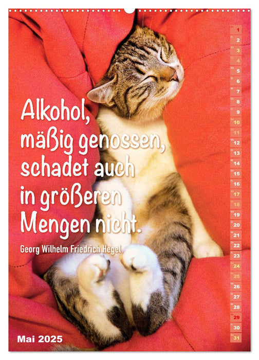 Der literarische Katerkalender (CALVENDO Wandkalender 2025)