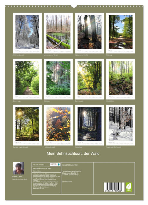 Mein Sehnsuchtsort, der Wald (CALVENDO Wandkalender 2025)