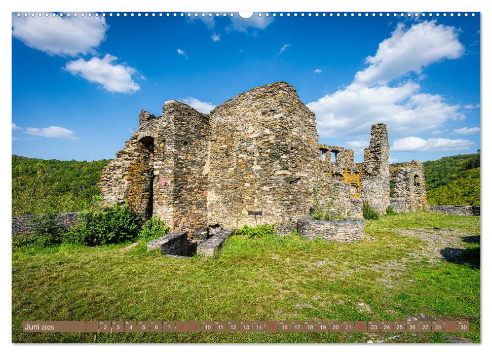 Burgen in Rheinland-Pfalz (CALVENDO Premium Wandkalender 2025)