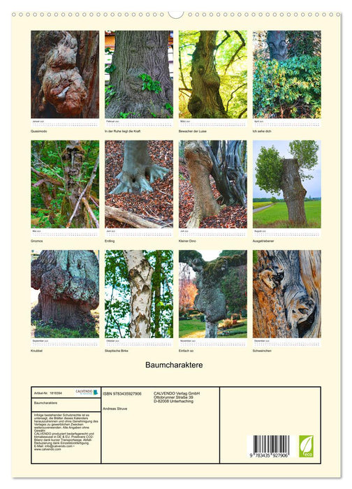 Baumcharaktere (CALVENDO Wandkalender 2025)