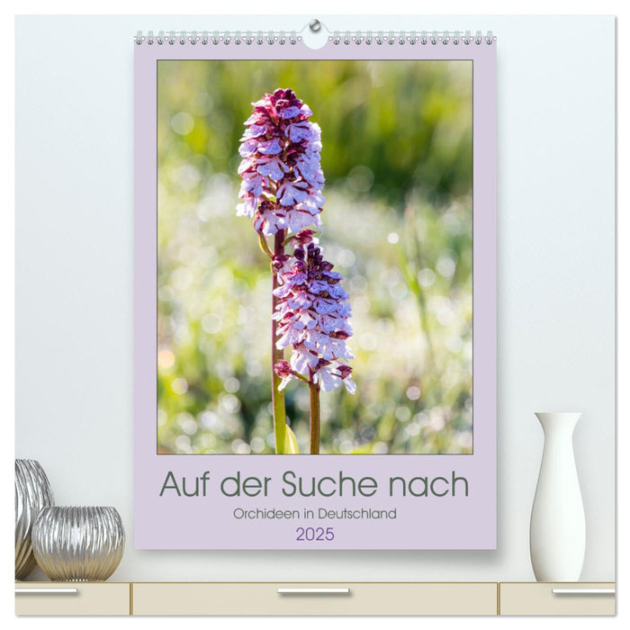 Auf der Suche nach Orchideen in Deutschland (CALVENDO Premium Wandkalender 2025)