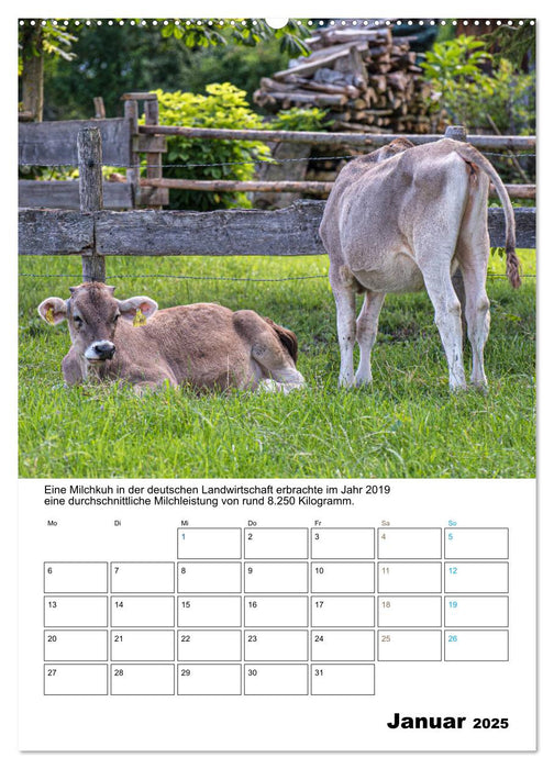 Liebenswerte Landtiere (CALVENDO Premium Wandkalender 2025)