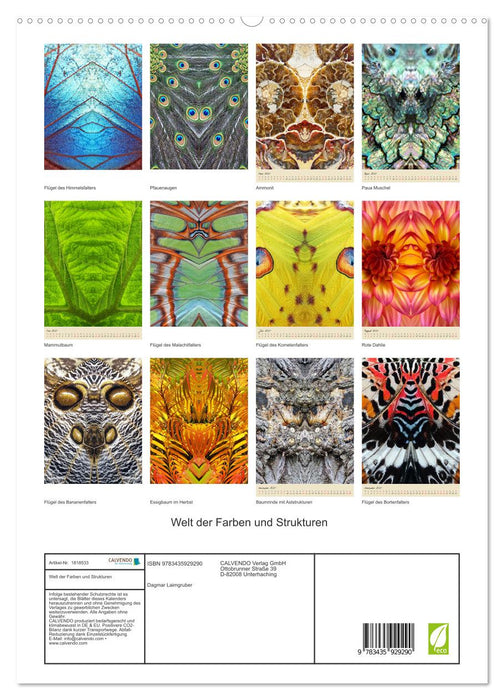 Welt der Farben und Strukturen (CALVENDO Premium Wandkalender 2025)
