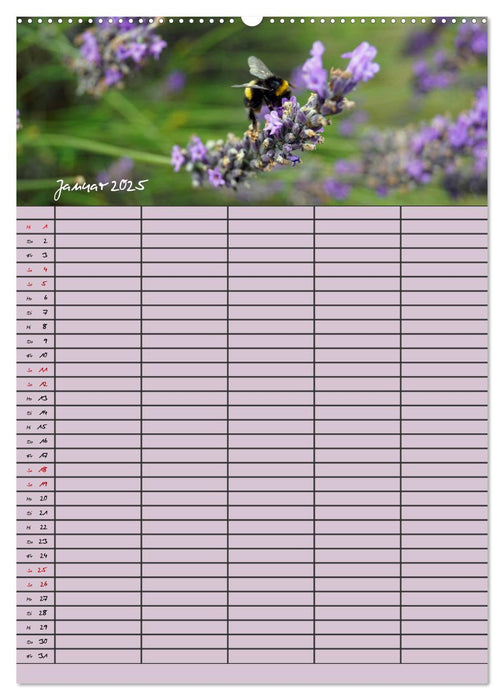 Naturzauber Lavendel - Familienplaner (CALVENDO Premium Wandkalender 2025)