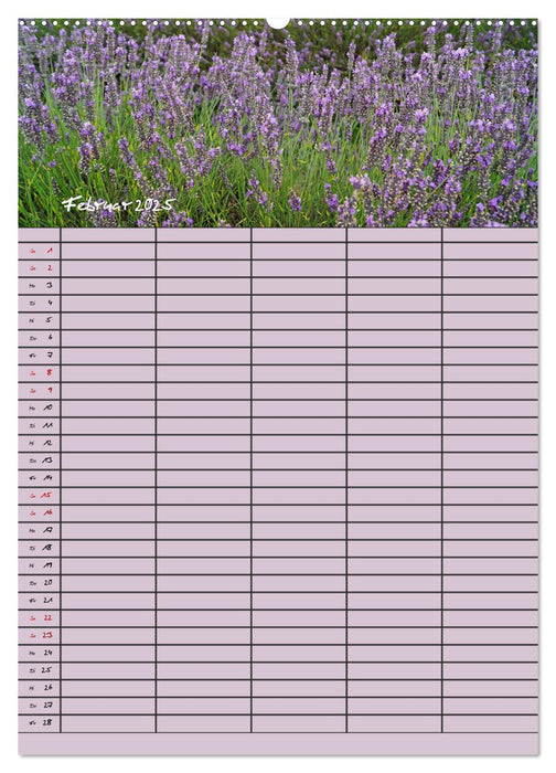 Naturzauber Lavendel - Familienplaner (CALVENDO Premium Wandkalender 2025)