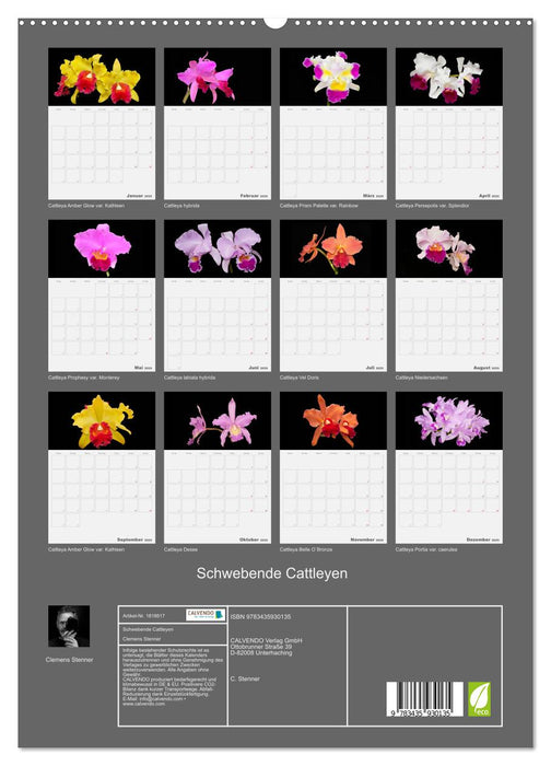 Schwebende Cattleyen (CALVENDO Wandkalender 2025)