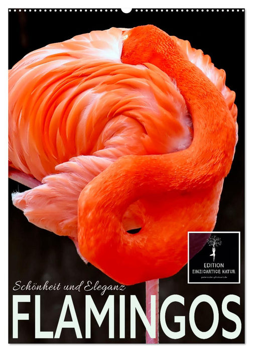 Flamingos - Eleganz und Schönheit (CALVENDO Wandkalender 2025)