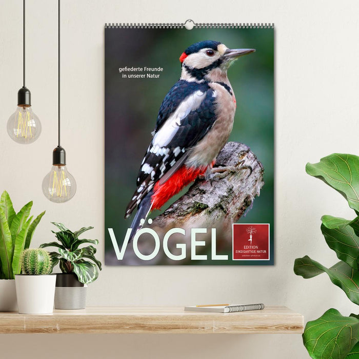 Vögel - gefiederte Freunde in unserer Natur (CALVENDO Wandkalender 2025)