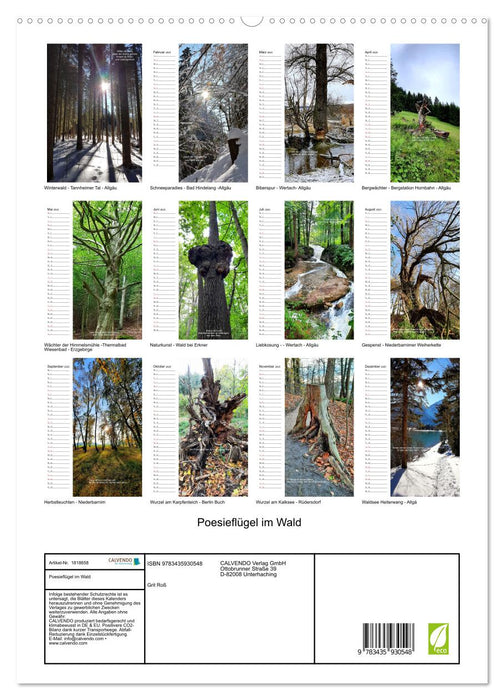 Poesieflügel im Wald (CALVENDO Wandkalender 2025)