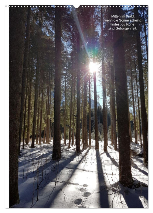 Poesieflügel im Wald (CALVENDO Wandkalender 2025)