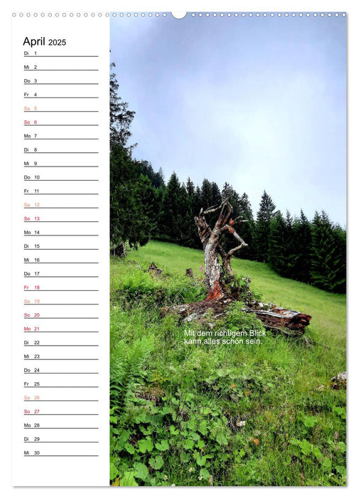 Poesieflügel im Wald (CALVENDO Wandkalender 2025)