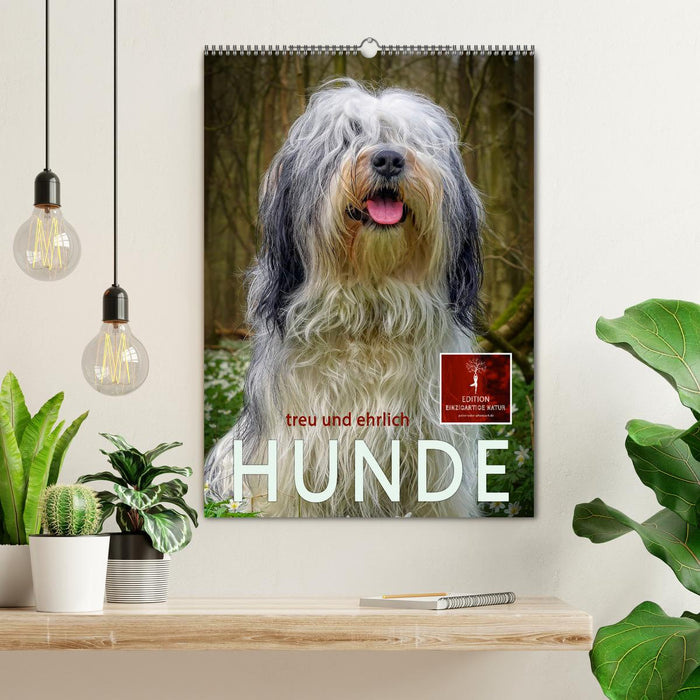 Hunde - treu und ehrlich (CALVENDO Wandkalender 2025)