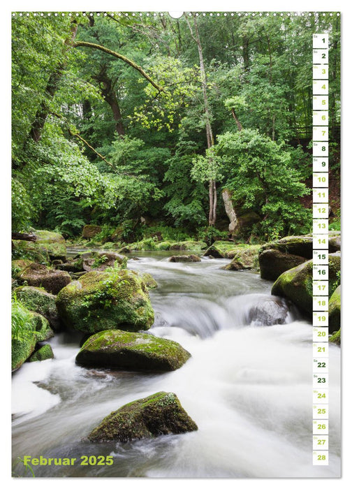 EIFEL - Kraftorte Wald und Wasser (CALVENDO Premium Wandkalender 2025)