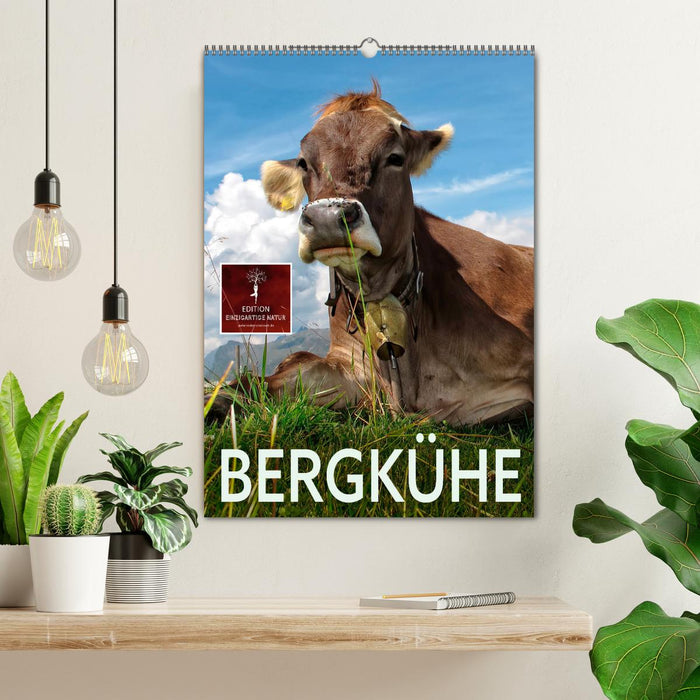 Bergkühe (CALVENDO Wandkalender 2025)