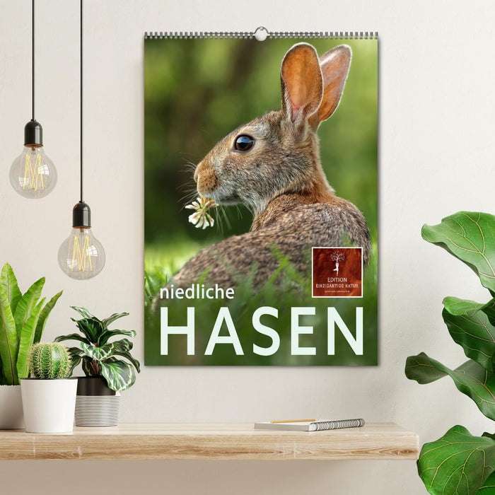 Niedliche Hasen (CALVENDO Wandkalender 2025)