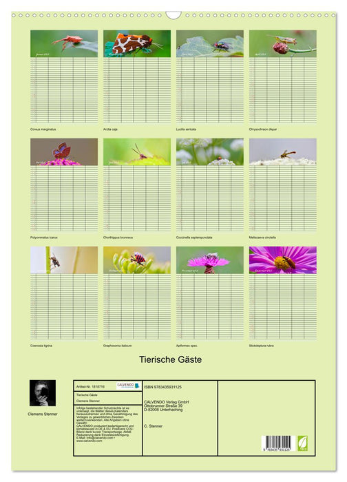 Tierische Gäste (CALVENDO Wandkalender 2025)